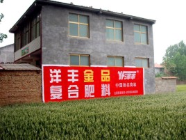 高县如何让墙体广告展现最大化效果